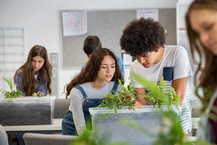 College students studying plants at biology lesson at school